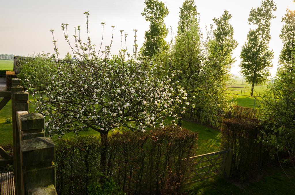 De Groote Waere Hotel Diksmuide Exterior photo